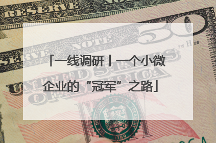 一线调研丨一个小微企业的“冠军”之路